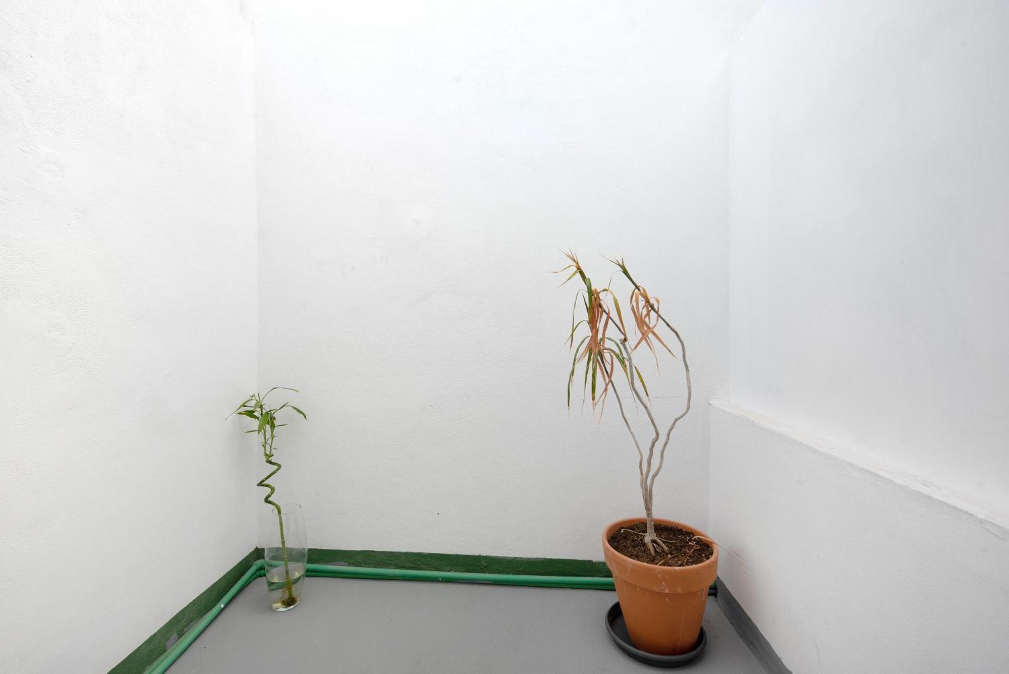 לה אורוטבה Apartamento Vista מראה חיצוני תמונה